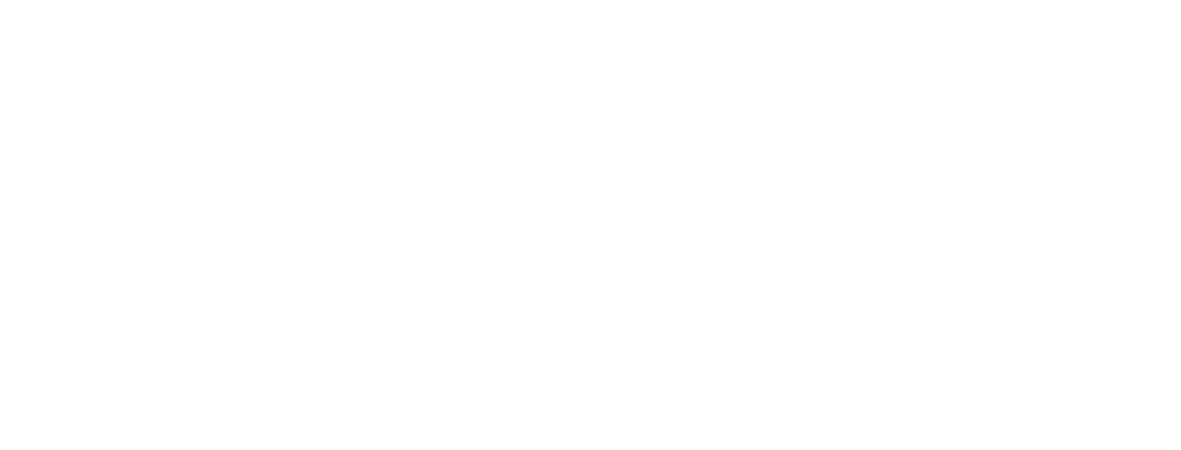 Logo ACTI'FUN Proludic sport