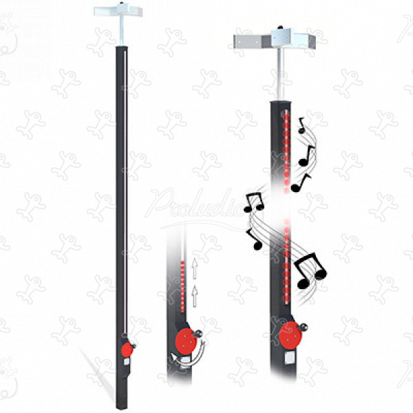 Light-It-Up J3451-R® aree giochi giochi educativi e sensoriali giochi interattivi immagine 3d