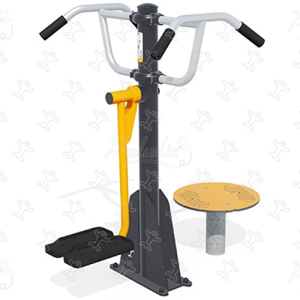 Twister + pendolo J37224® sport e fitness acti’fun acti’fit immagine 3d