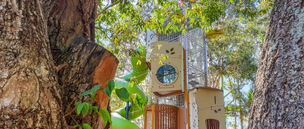 La nostra missione, i nostri valori