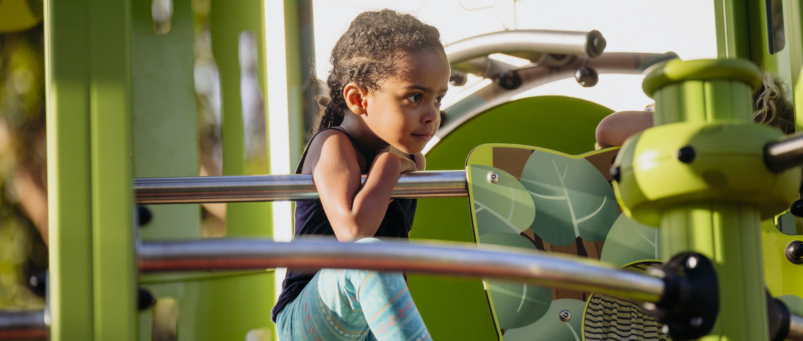 Pilastro 2: La lotta contro il cambiamento climatico