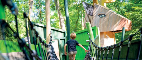 Legno naturale e sostenibile