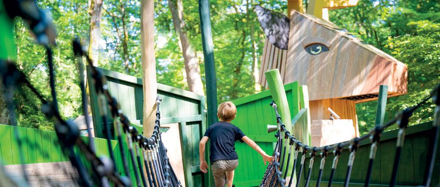 Legno naturale e sostenibile